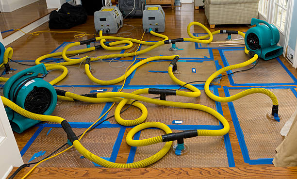 Professional Basement Flood Cleanup technician working in Hinckley, IL
